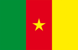 flag_cameroun